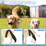 Leg brace for dog acl injury