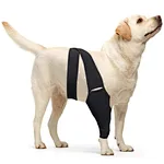 Our dog knee brace is specifically designed to provide exceptional support and stability for dogs with a torn in the back leg, facilitating a faster recovery process.
The dog brace hind leg we offer is engineered to offer optimal hip support.