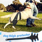 Leg brace for dog acl injury