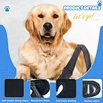 Leg brace for dog acl injury